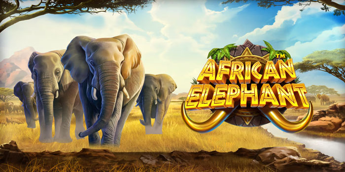 Tips Ampuh Menguasai Slot African Elephant Dengan Modal Kecil